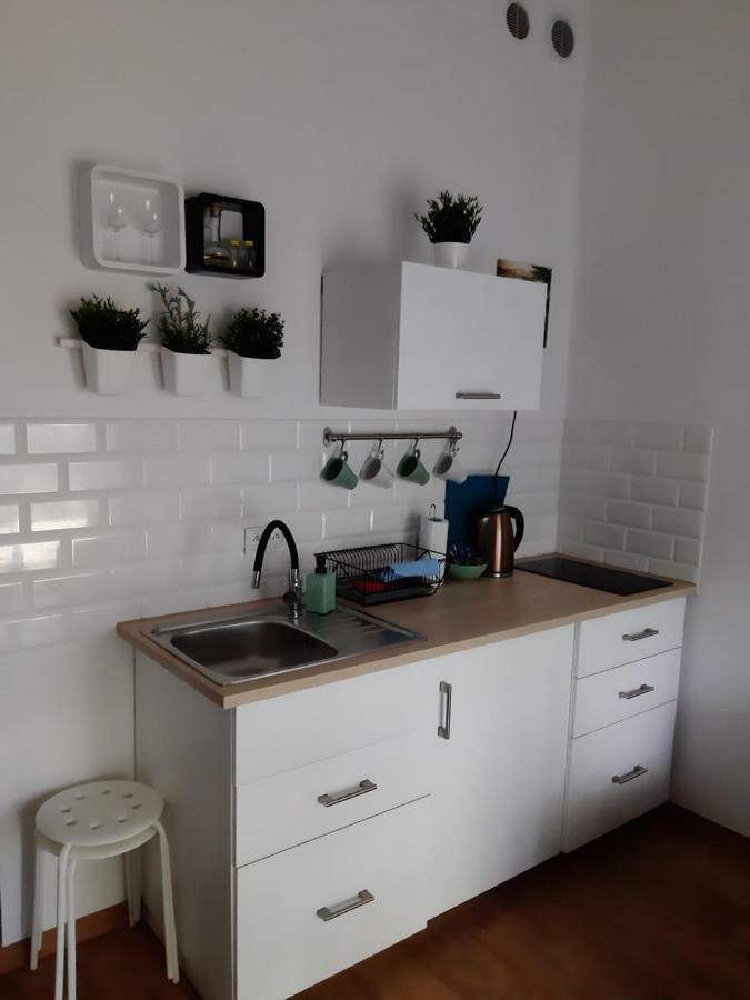 Apartament Nad Stara Odra Wroclaw Exterior photo